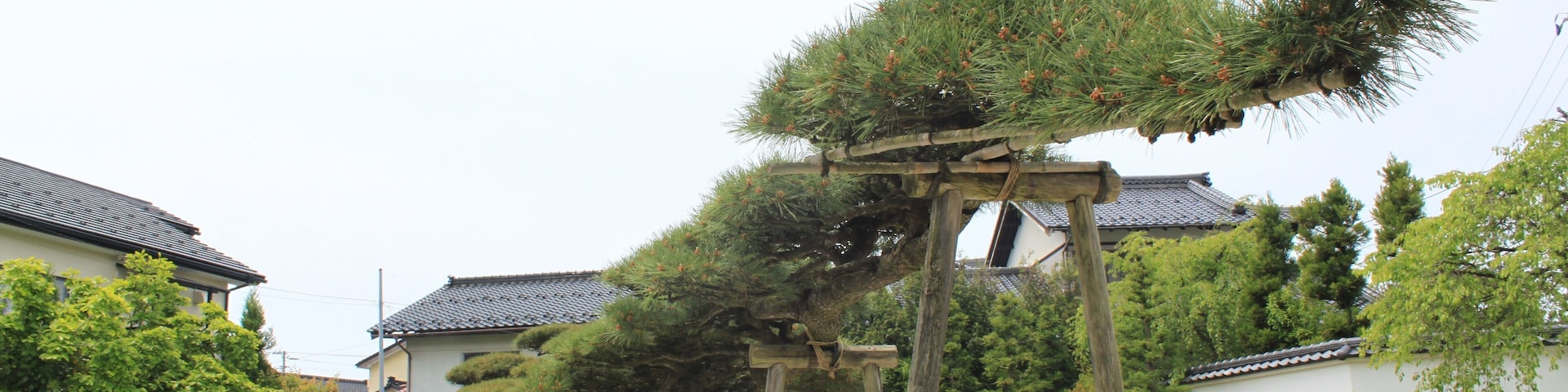 念珠の松庭園