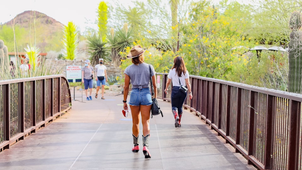 Desert Botanical Garden is a 140-acre botanical garden located in Papago Park, at 1201 N. Galvin Parkway in Phoenix, central Arizona. stock photo
