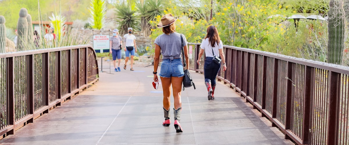 A pedestrian bridge with metal railings, surrounded by cacti and desert vegetation.