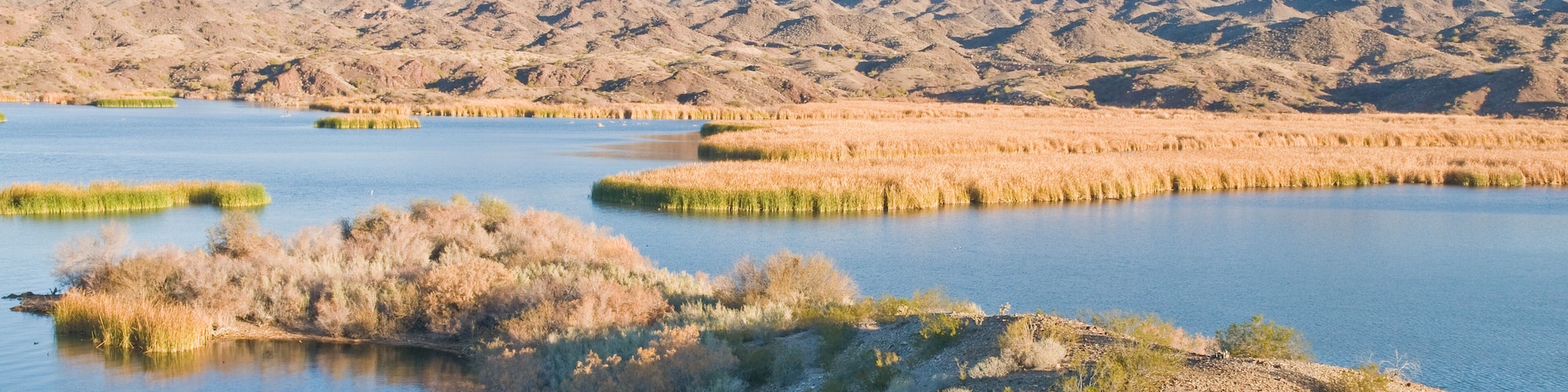 Lake Havasu