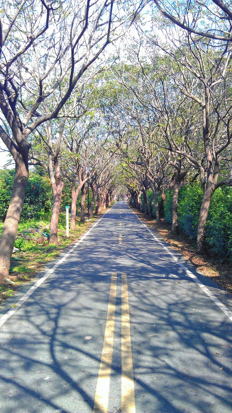 潭雅神自行車道