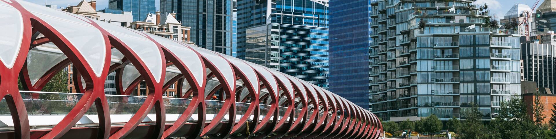 Peace Bridge showing a city, a bridge and a river or creek
