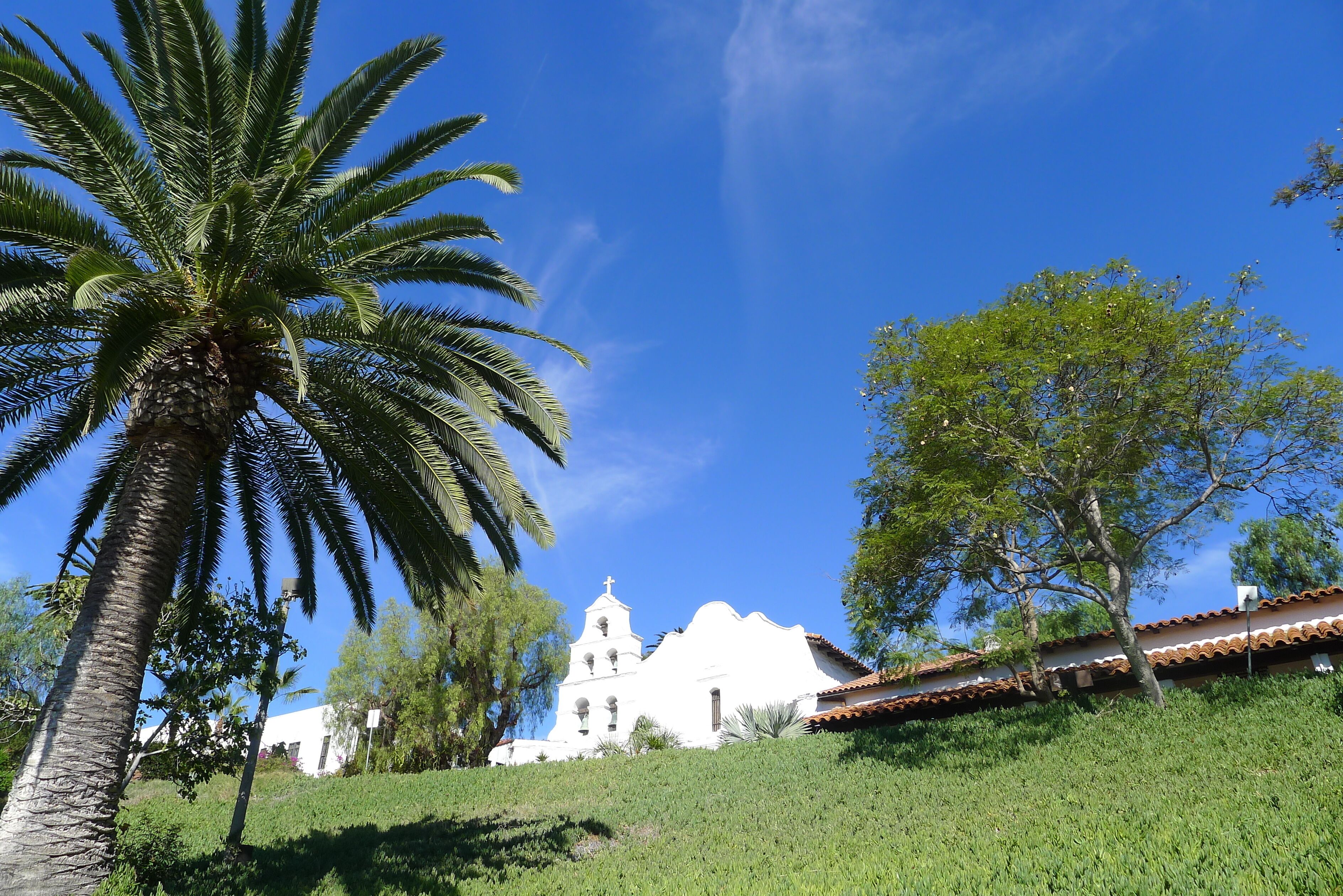 Mission Basilica San Diego de Alcala and Palm Tree