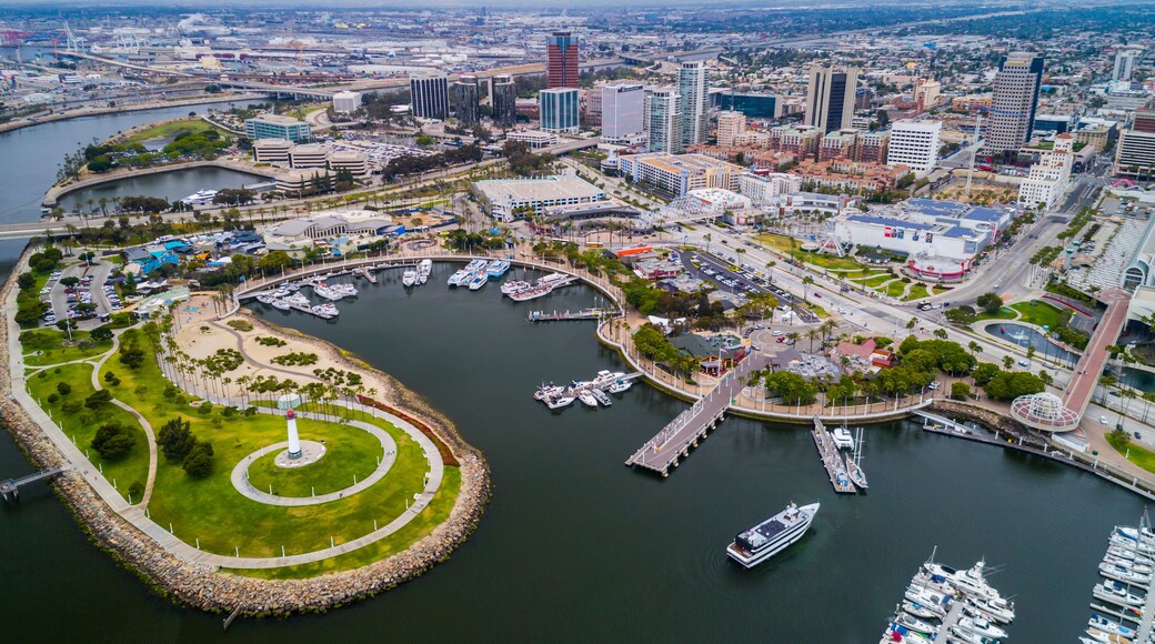 ๋น
์ค๋น ๋์ค