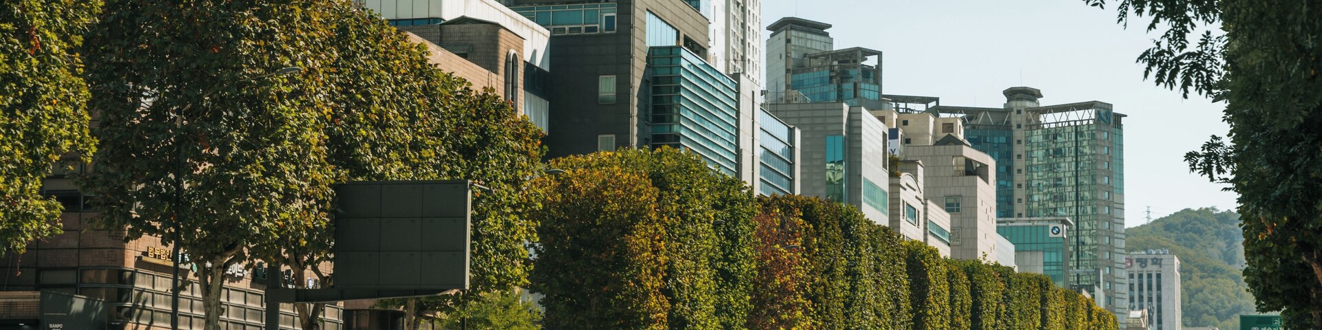 Una calle urbana bordeada de árboles y edificios modernos, incluyendo una estructura alta con la etiqueta 'IPARK 101'.