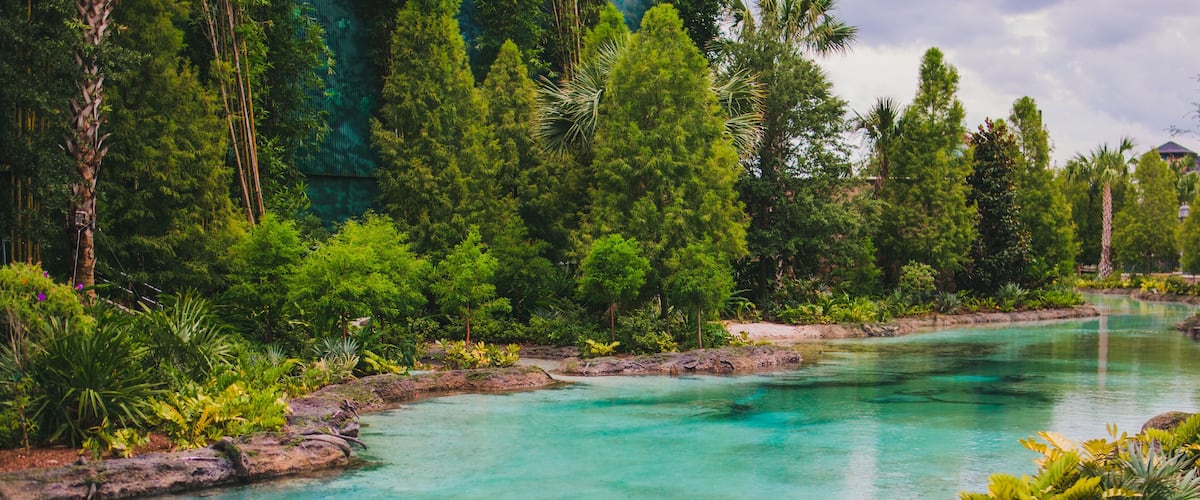 beautiful stream of blue water from a natural spring in Orlando Florida