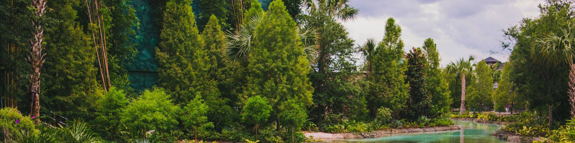 beautiful stream of blue water from a natural spring in Orlando Florida