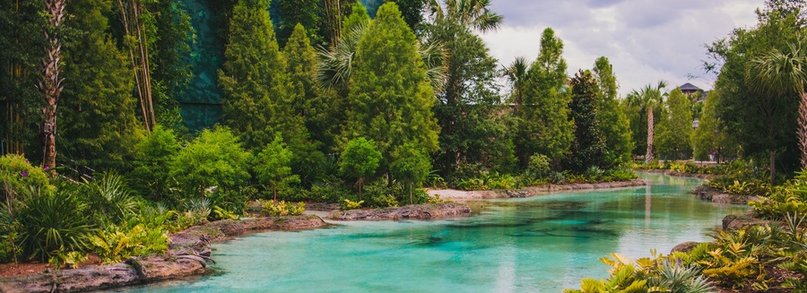 beautiful stream of blue water from a natural spring in Orlando Florida