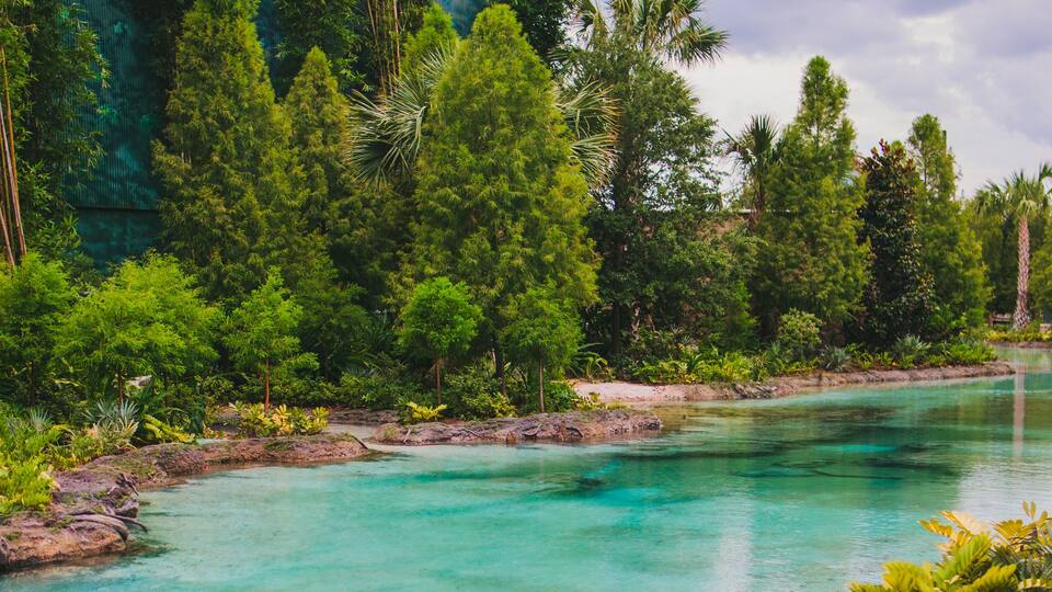 beautiful stream of blue water from a natural spring in Orlando Florida
