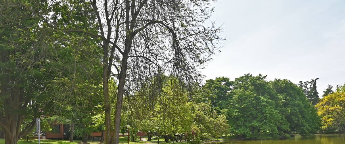 Parco lago e giardini di Milano 3 - Basiglio, Milano