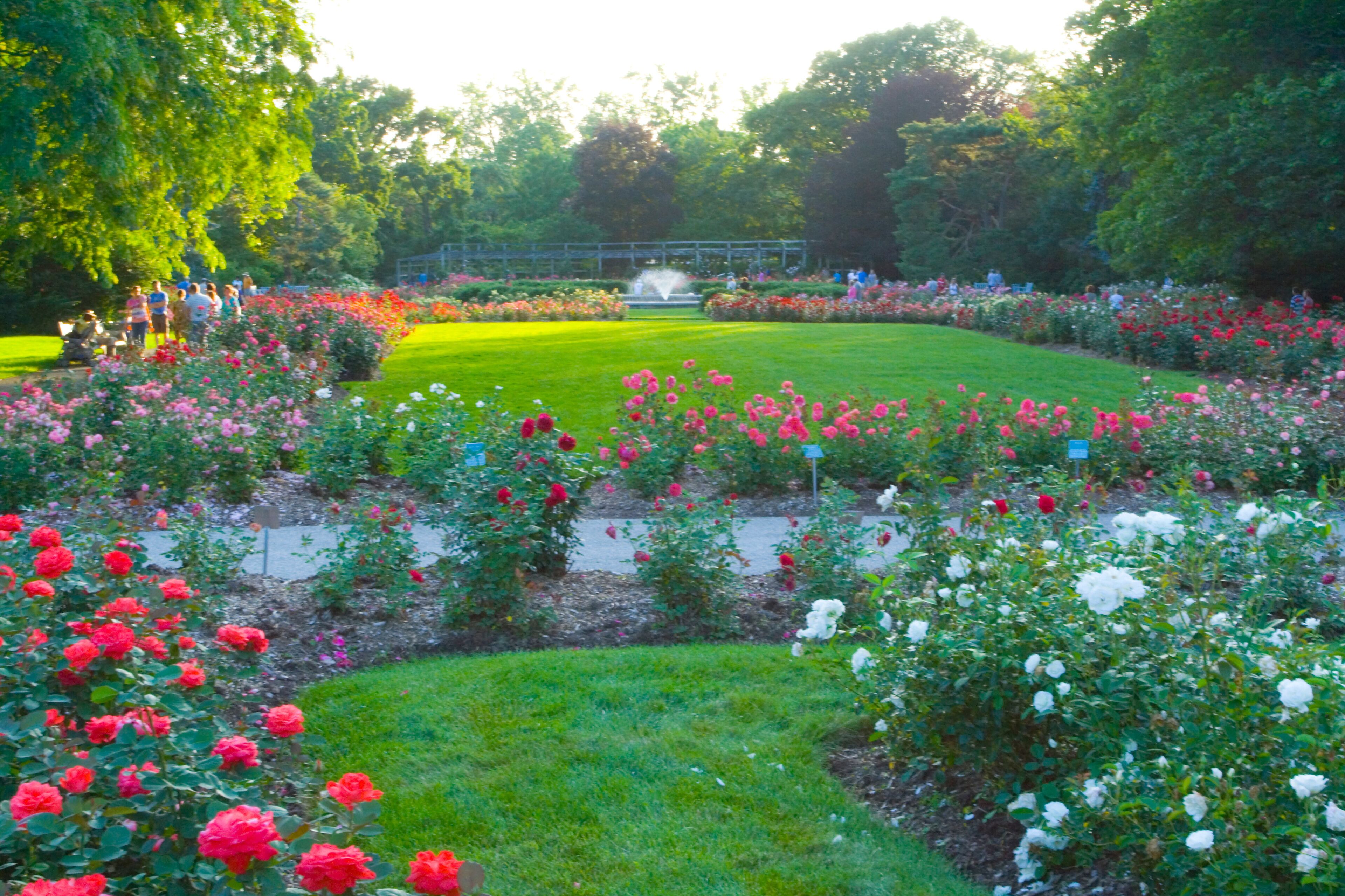 Park of Roses, Columbus, Ohio