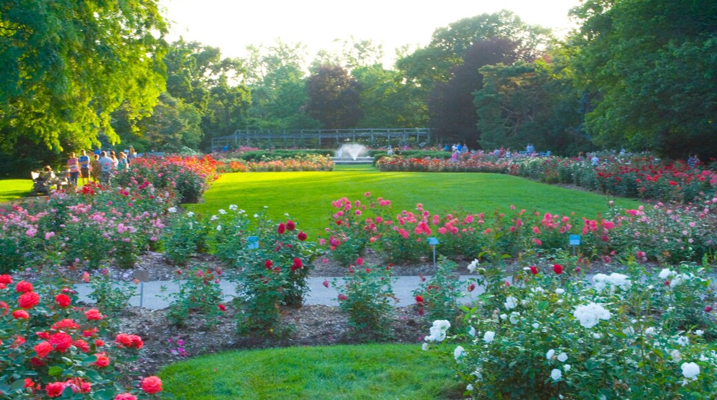 Park of Roses, Columbus, Ohio