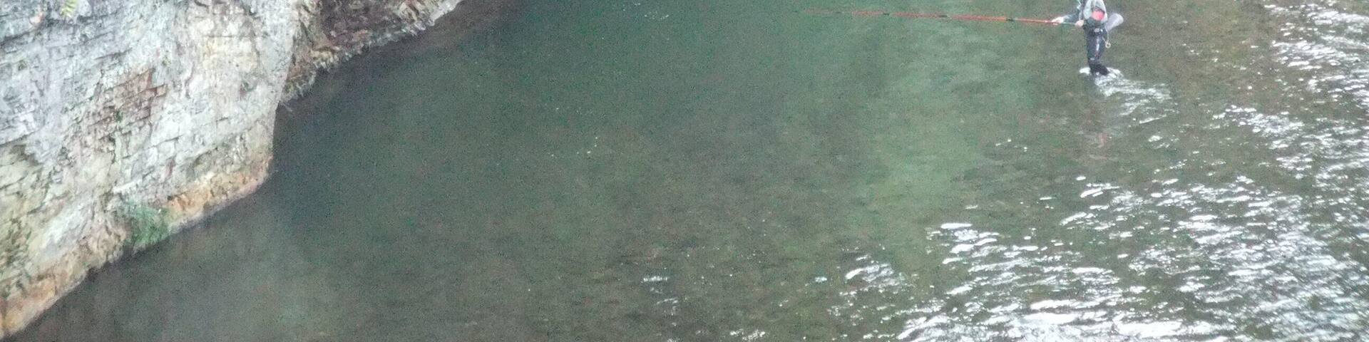 ćżæžćčłæž©æłăźæžæ”