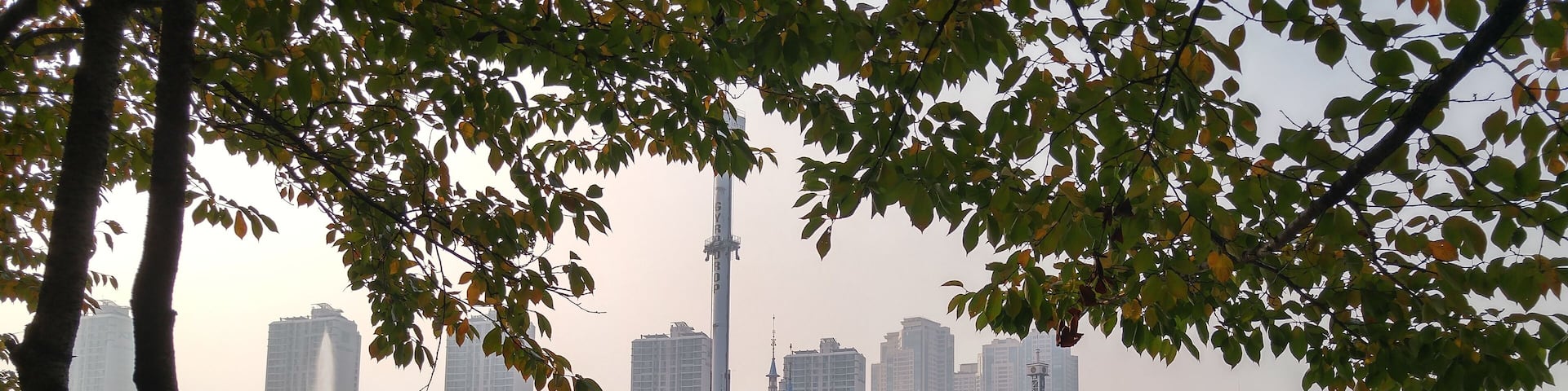 석촌 호수공원 호수 (10)