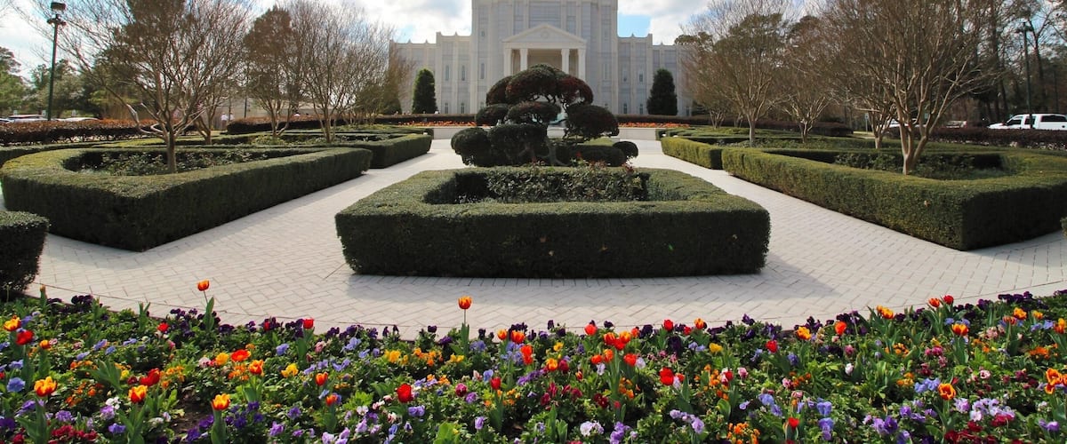 Front of the temple!