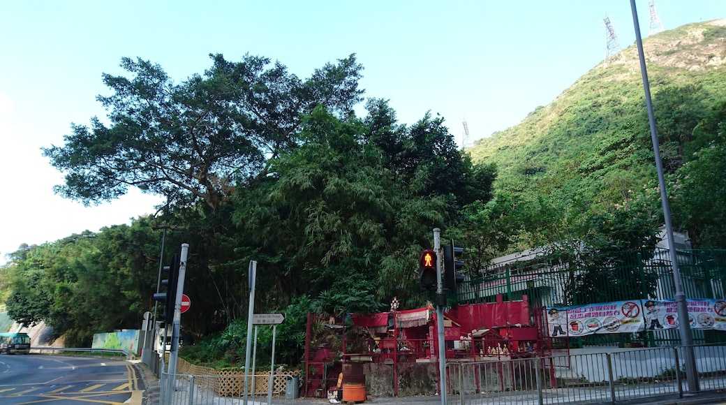 Tin Wan Hill Road near Shek Pai Wan Road