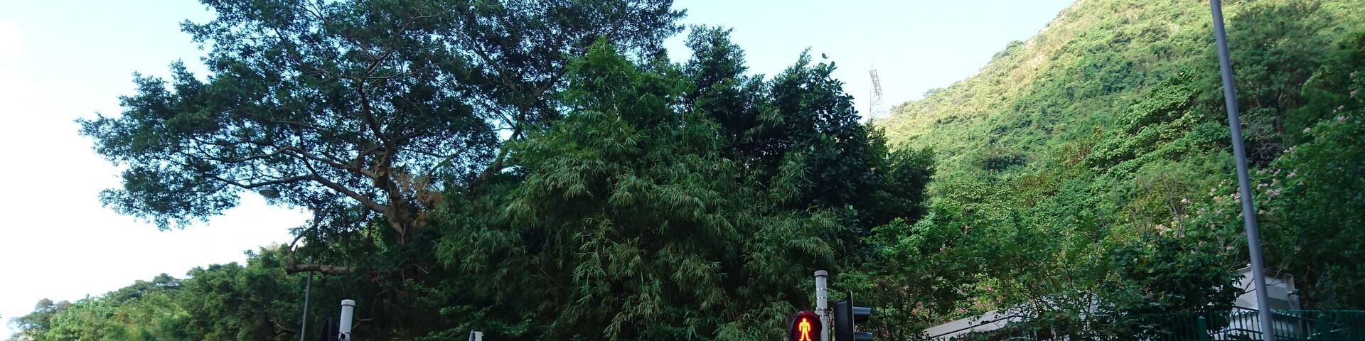 Tin Wan Hill Road near Shek Pai Wan Road