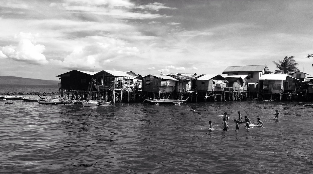 I know that almost all of the pictures here are beautiful, but I just wanna share one of the saddest things in my place. I dont have an excellent camera, I am depending on my iPhone đ