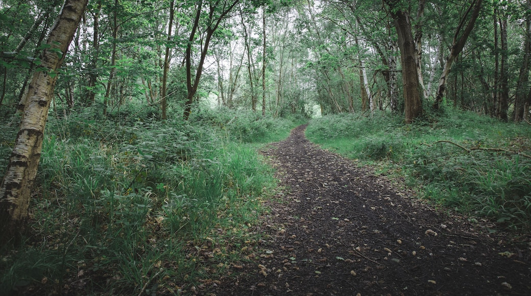 Rushall