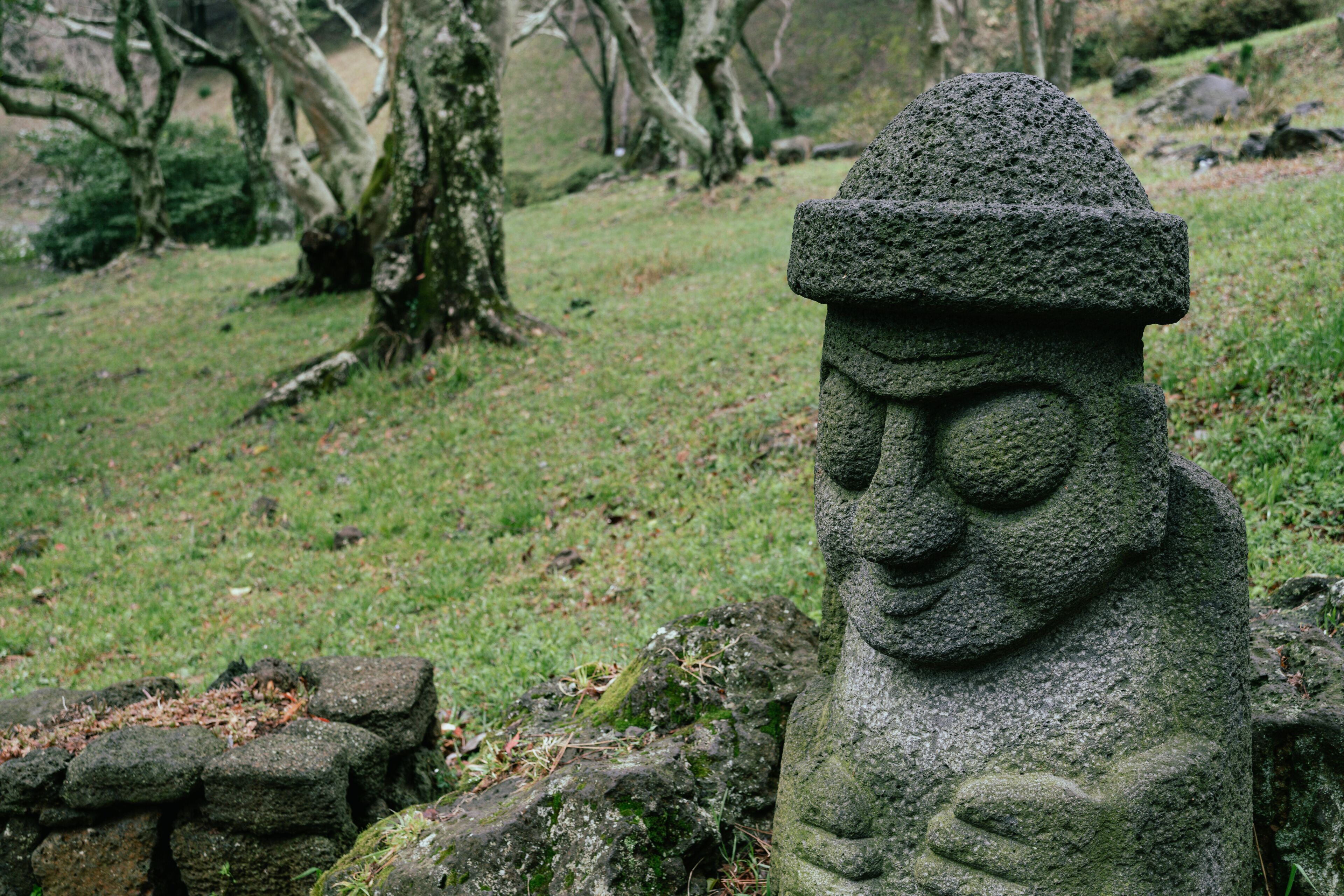 Dol hareubang stone grandpa sculpture at Halla Arboretum in Jeju Island, Korea