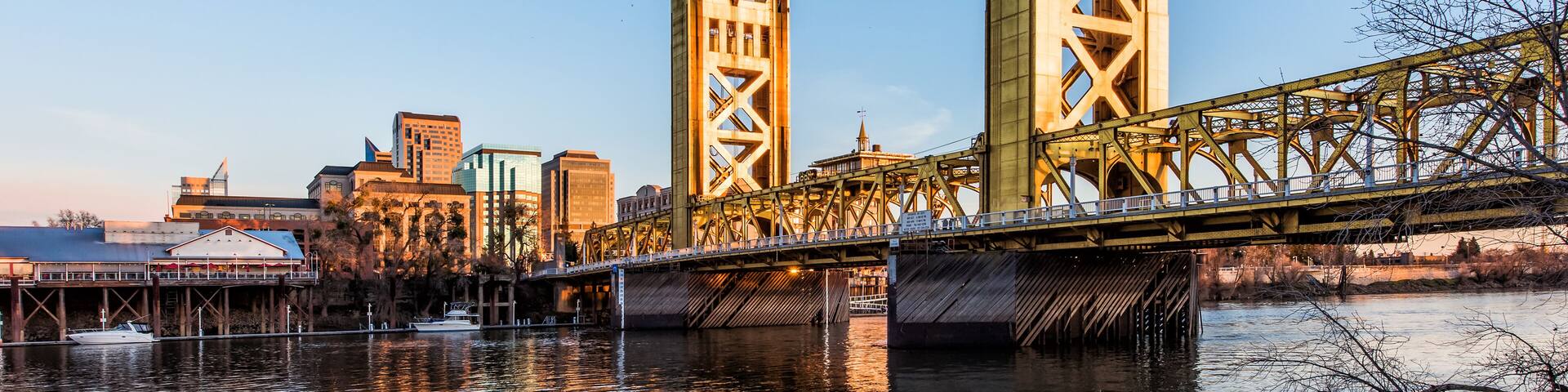 Gold Tower Bridge in Sacramento California during blue sunset with downtown and goose on floating log