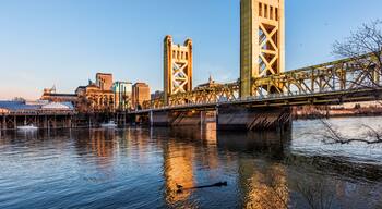 Gold Tower Bridge in Sacramento California during blue sunset with downtown and goose on floating log