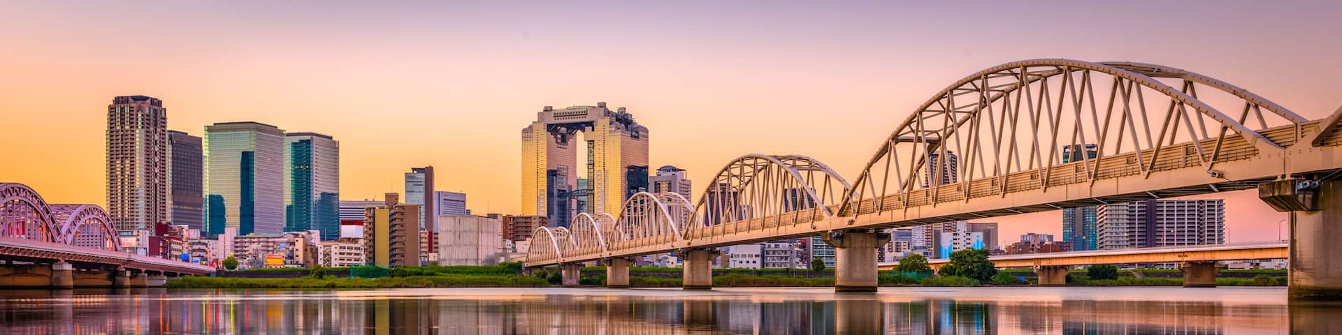 A city skyline with modern skyscrapers and a large suspension bridge over a calm river.