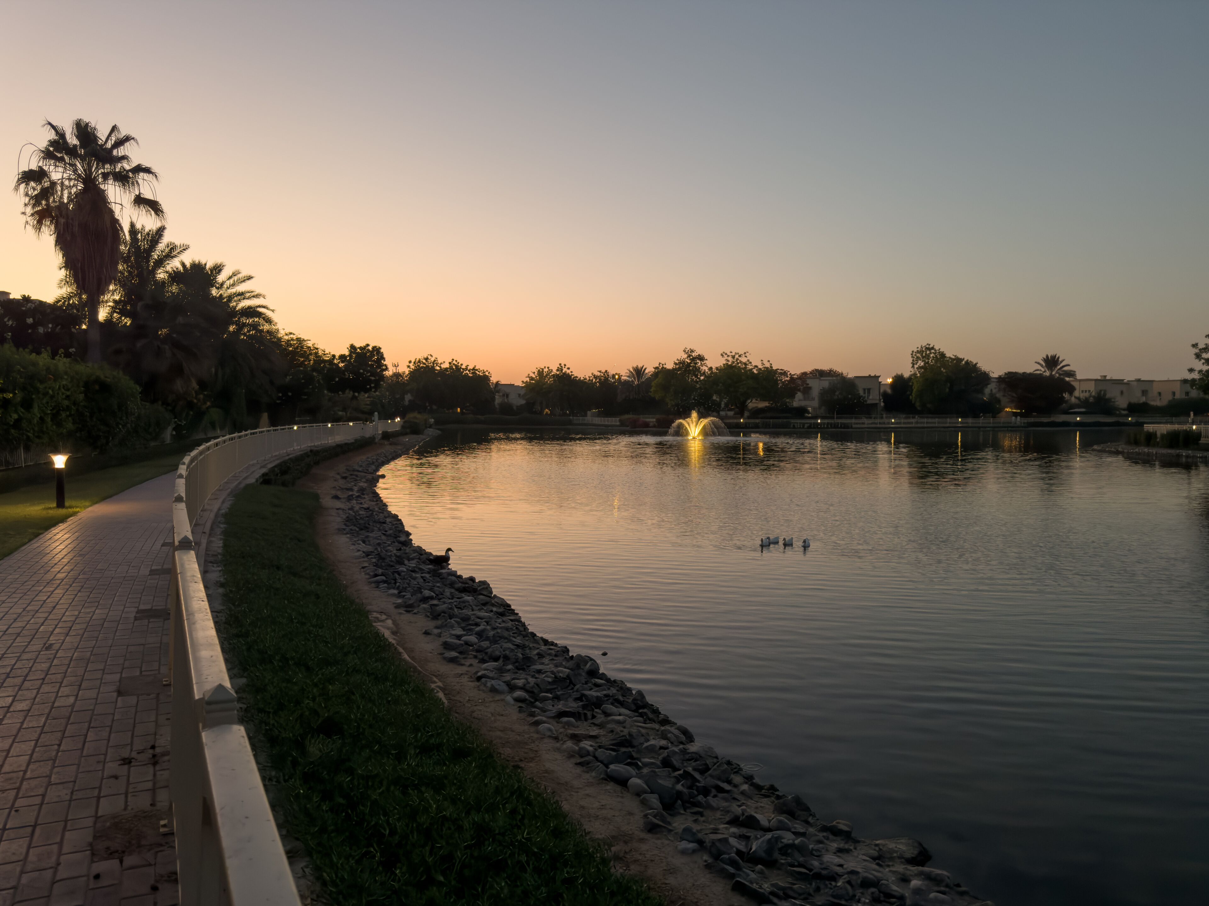 Springs 7 neighbourhood in Dubai