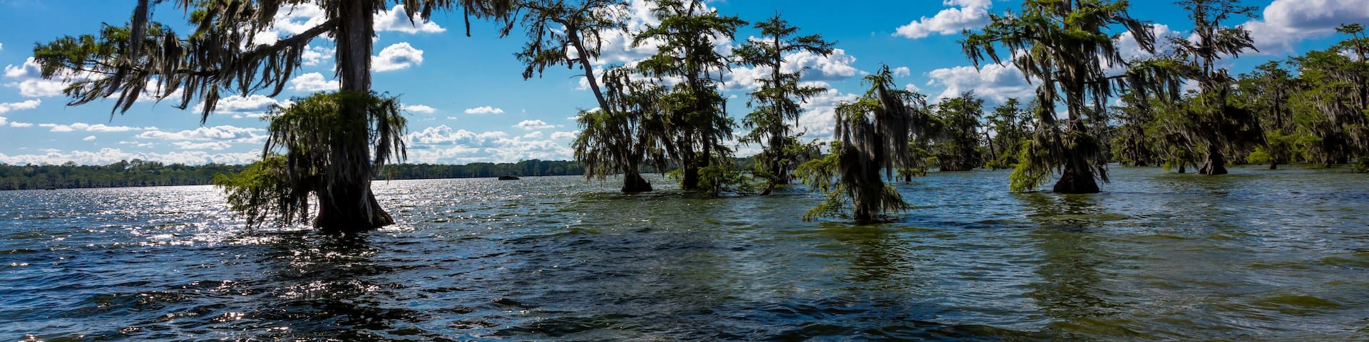 APRIL 25, 2019, BREAUX BRIDGE, LOUISIANA, USA - Lake Martin Swamp in spring near Breaux Bridge, Louisiana - shot from boat