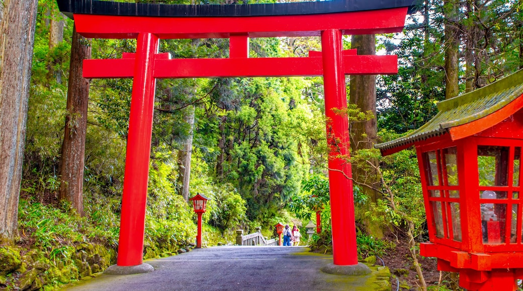 The red torii gate leading to Lake Ashi of Hakone Shrine in Motohakone, Hakone-machi