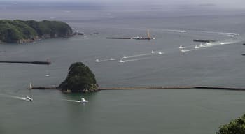 下田港と犬走島