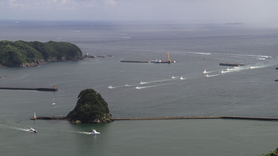 下田港と犬走島