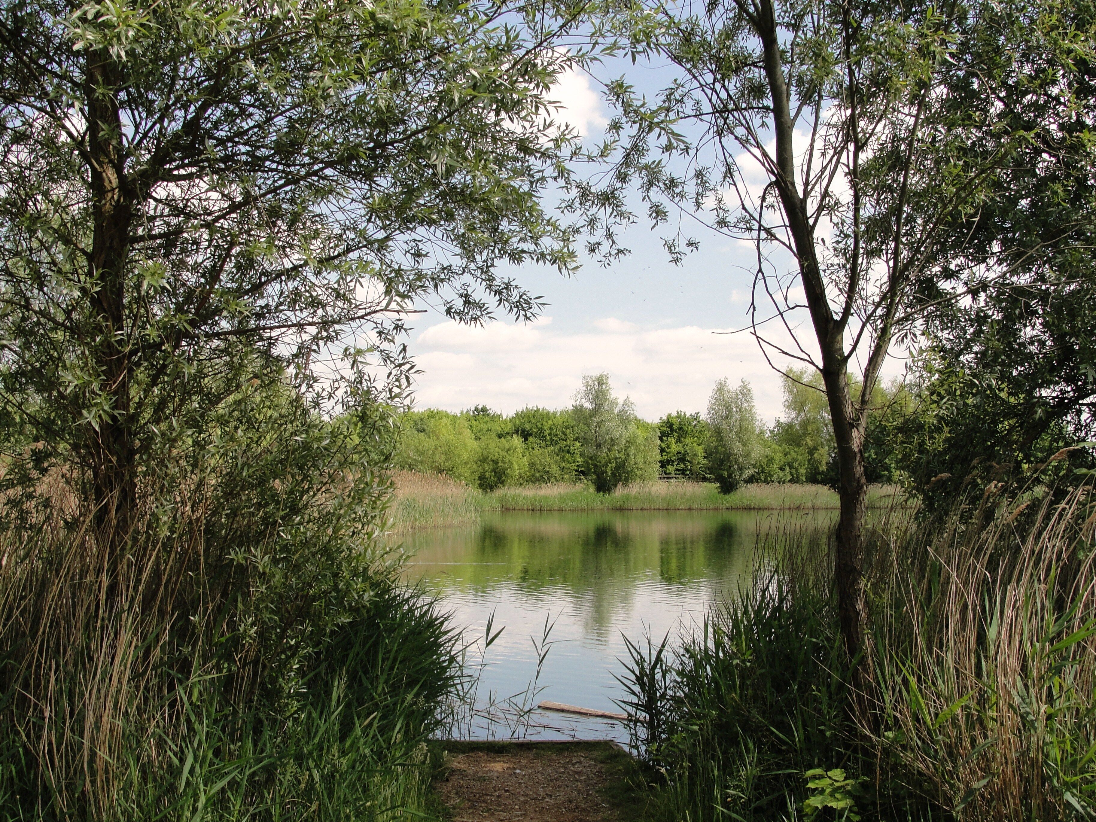 The Fishing Lake in Bedfont Lakes Parkland