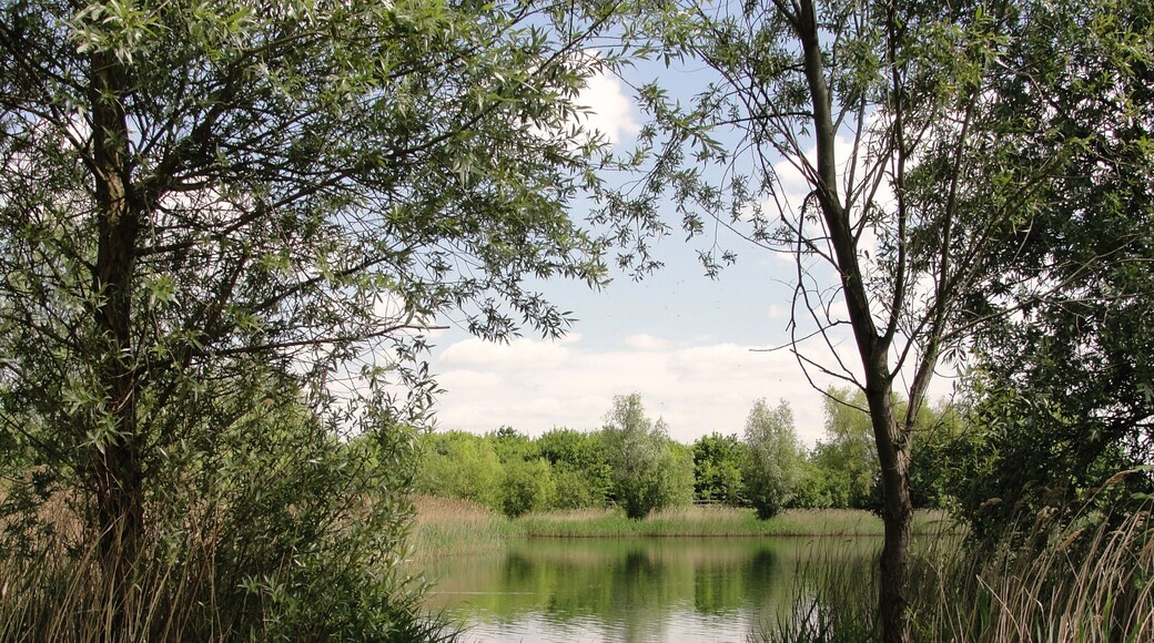The Fishing Lake in Bedfont Lakes Parkland