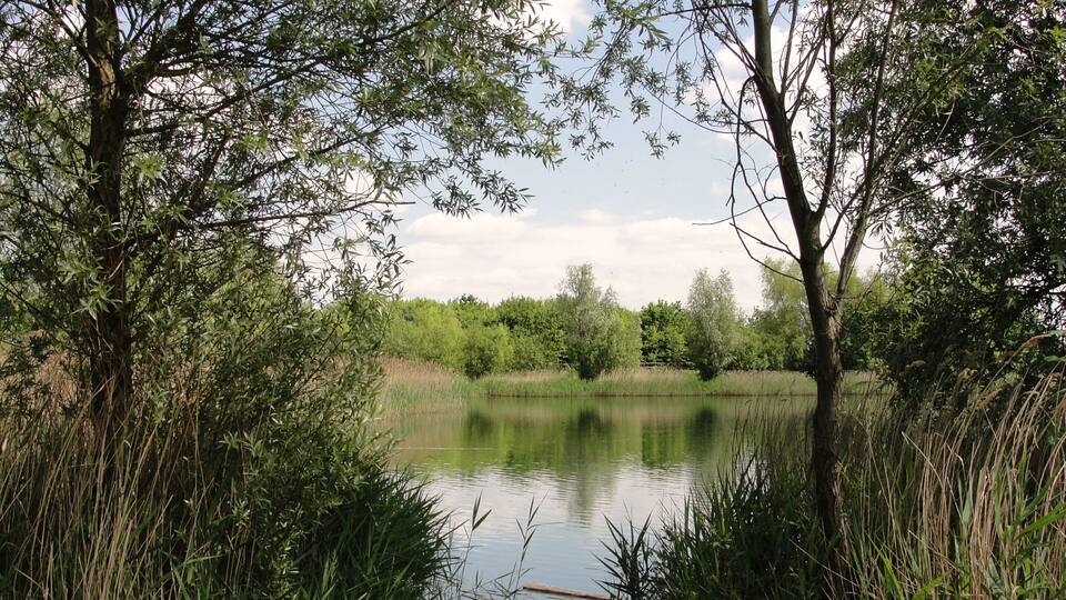 The Fishing Lake in Bedfont Lakes Parkland