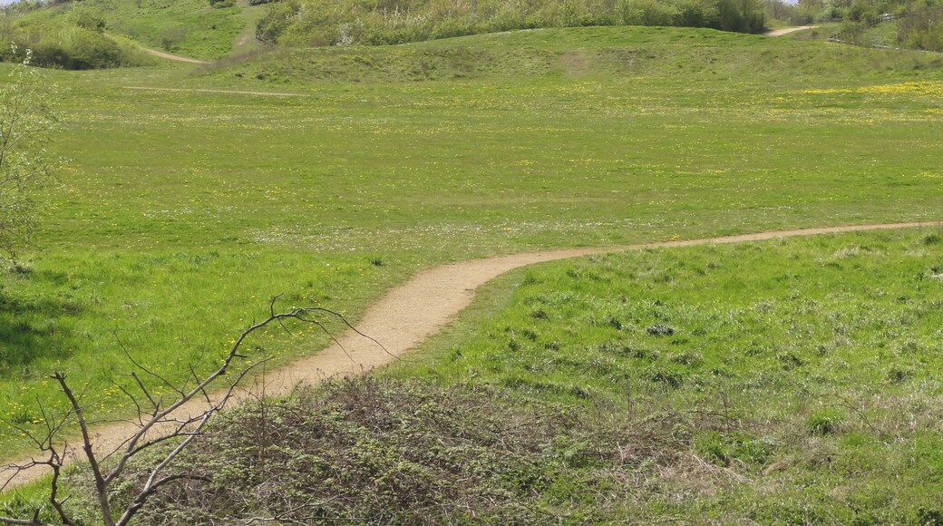 The Millenium Mound in Bedfont Lakes Park