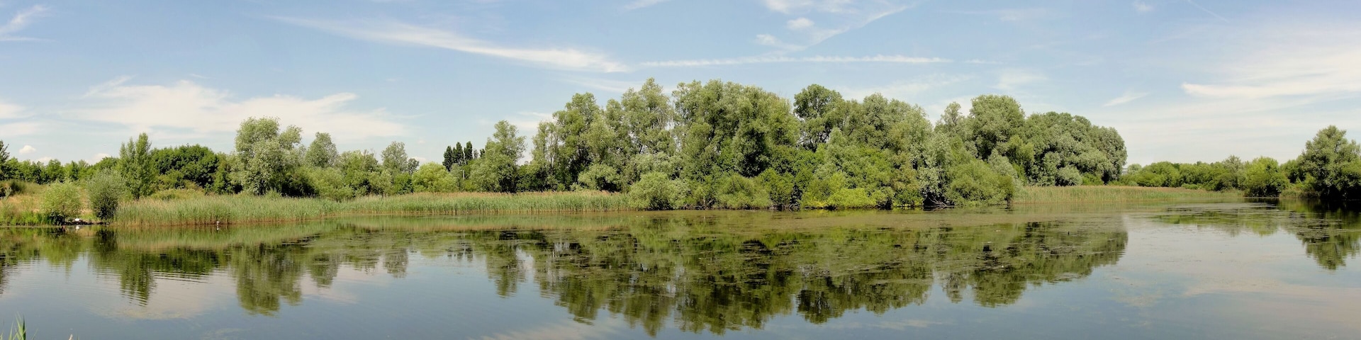 Bedfont South Lake