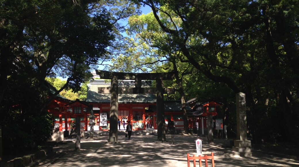 住吉神社・神門と鳥居