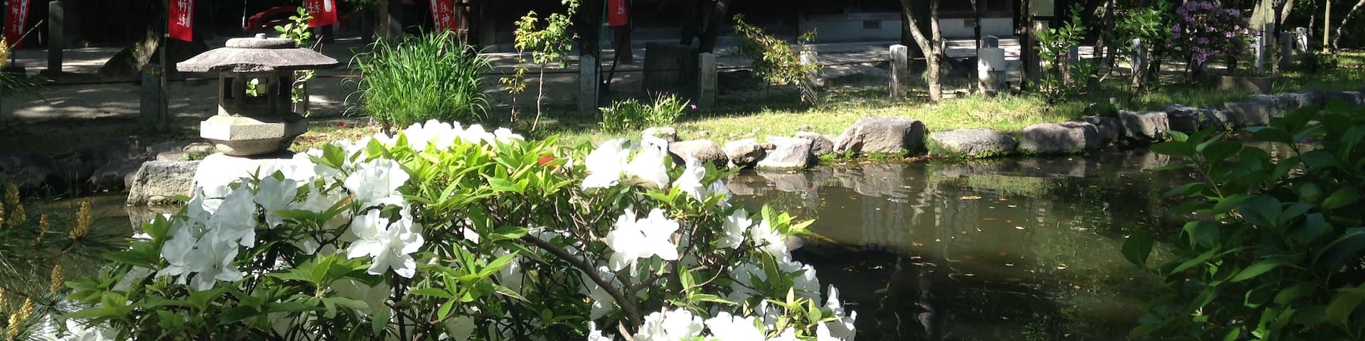 住吉神社・功徳池の中にある三日恵比須神社