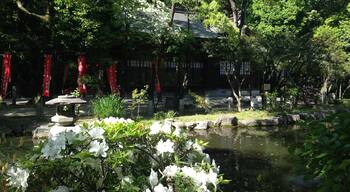 住吉神社・功徳池の中にある三日恵比須神社