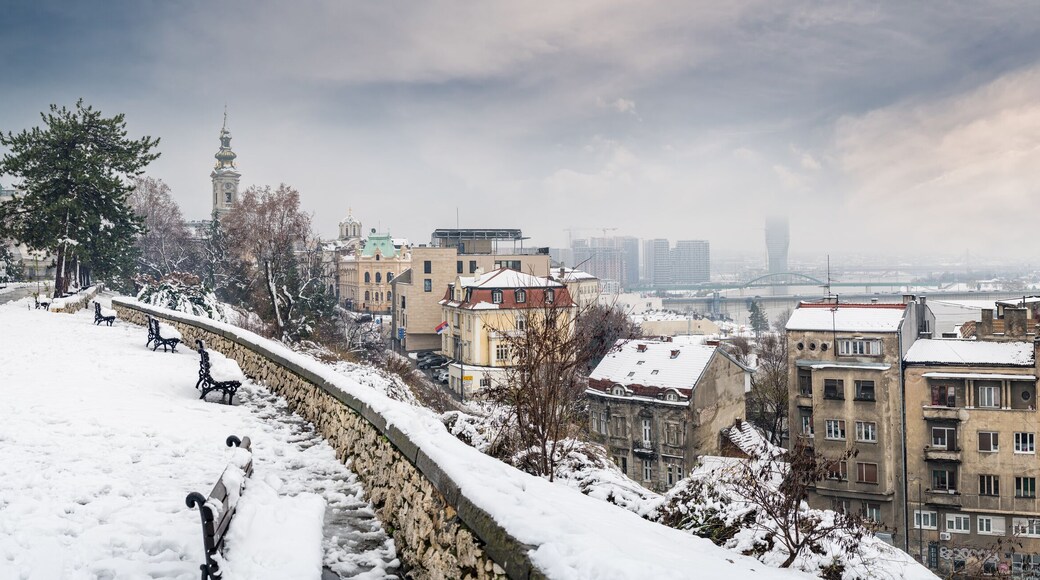 ดอร์ชอล