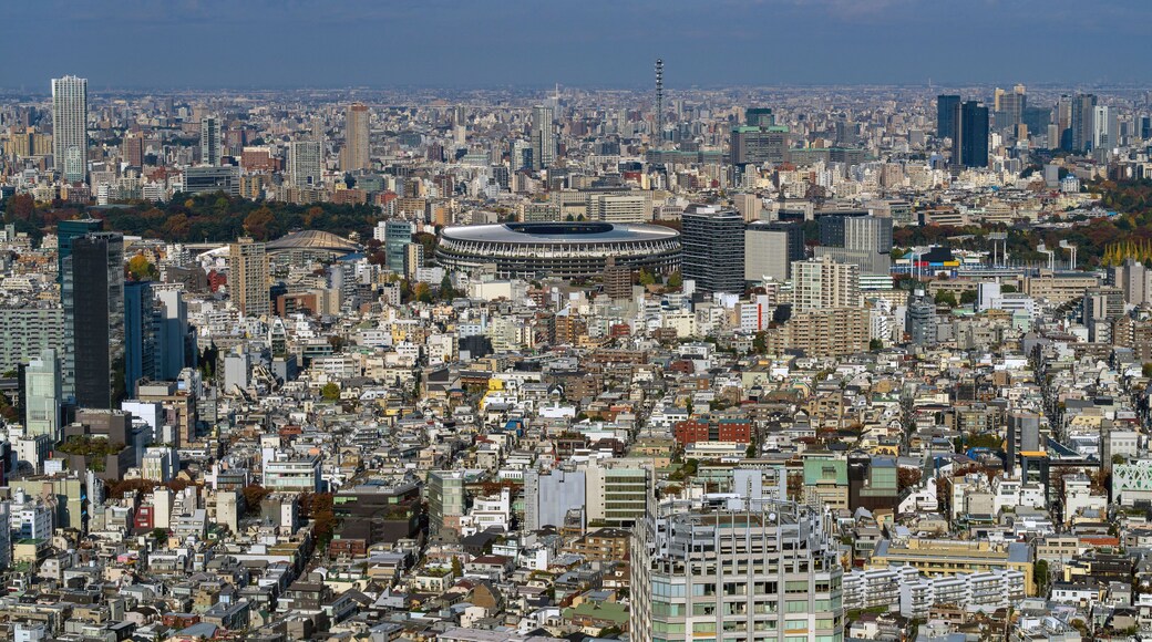 Expansive Tokyo cityscape featuring Japan National Stadium and surrounding Meiji Jingu Gaien area