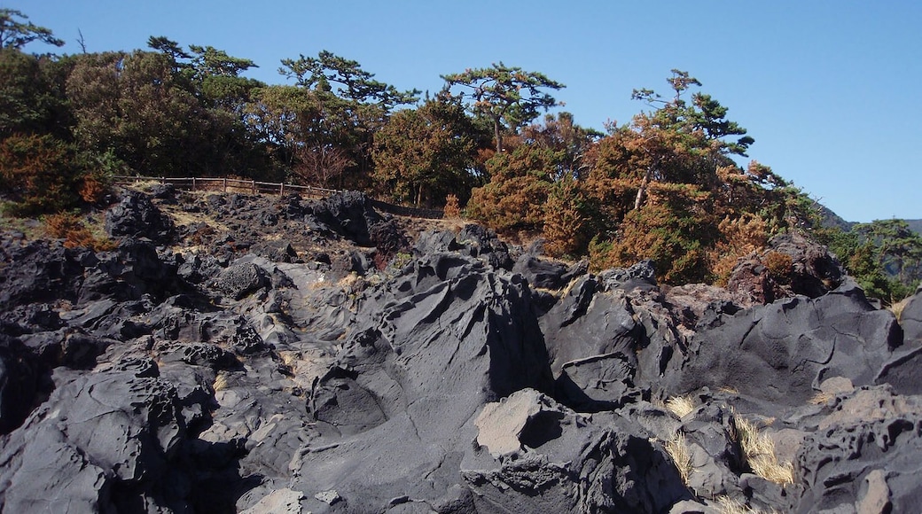 Lava of Jōgasaki coast, located in Ito city, Shizuoka prefecture, Japan.