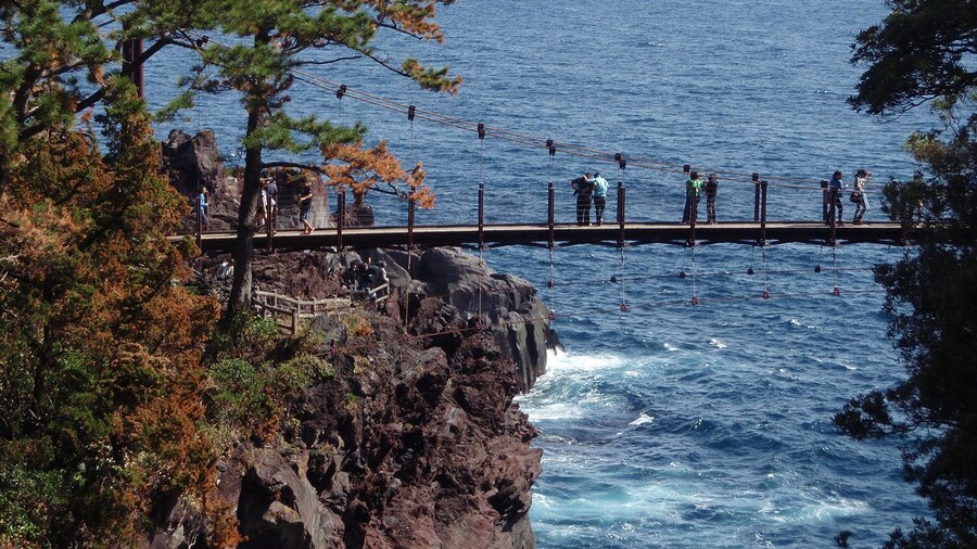 Kadowaki suspension bridg