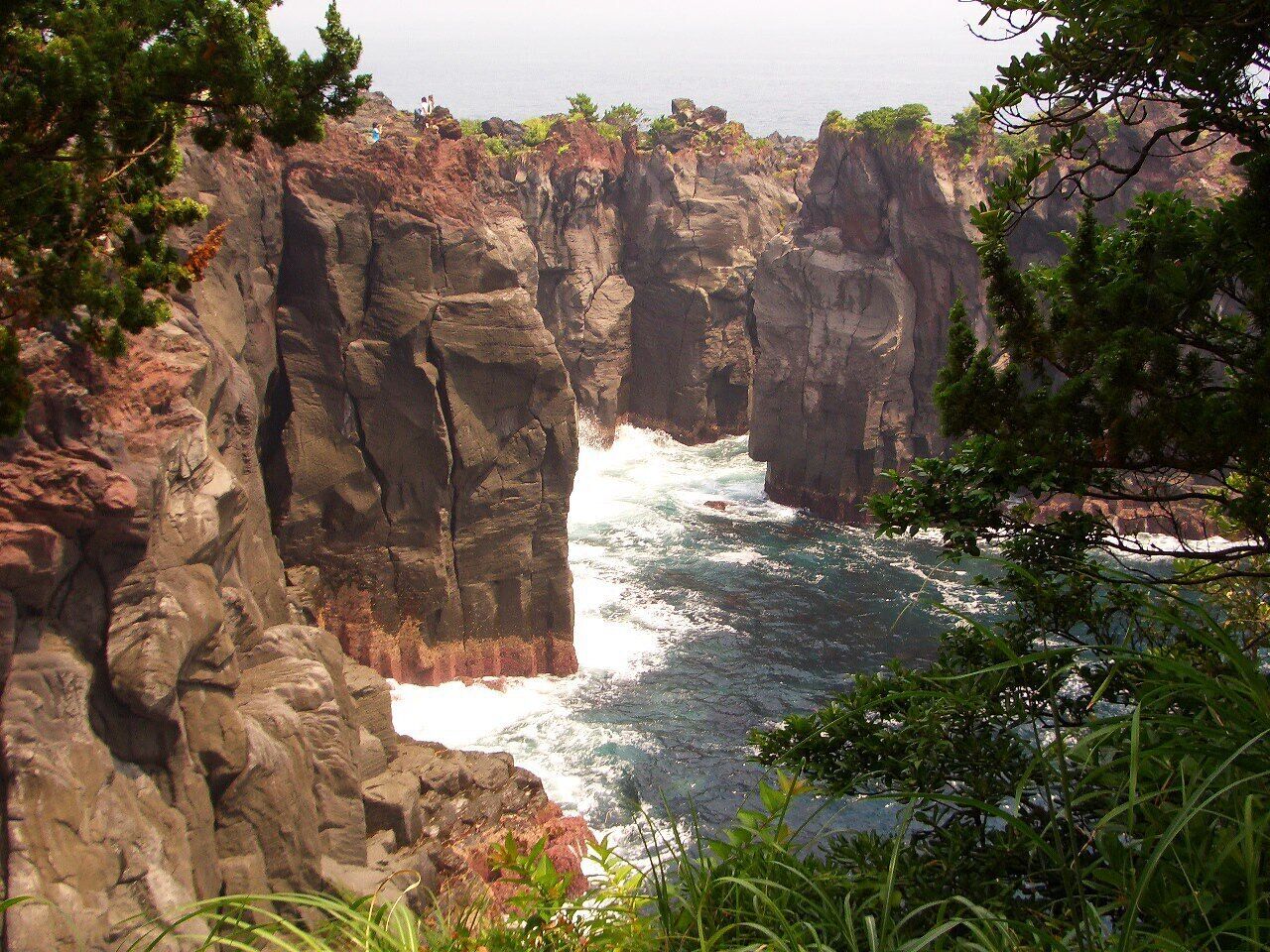 A coastal cliff with a narrow passage between tall rock formations, surrounded by greenery.