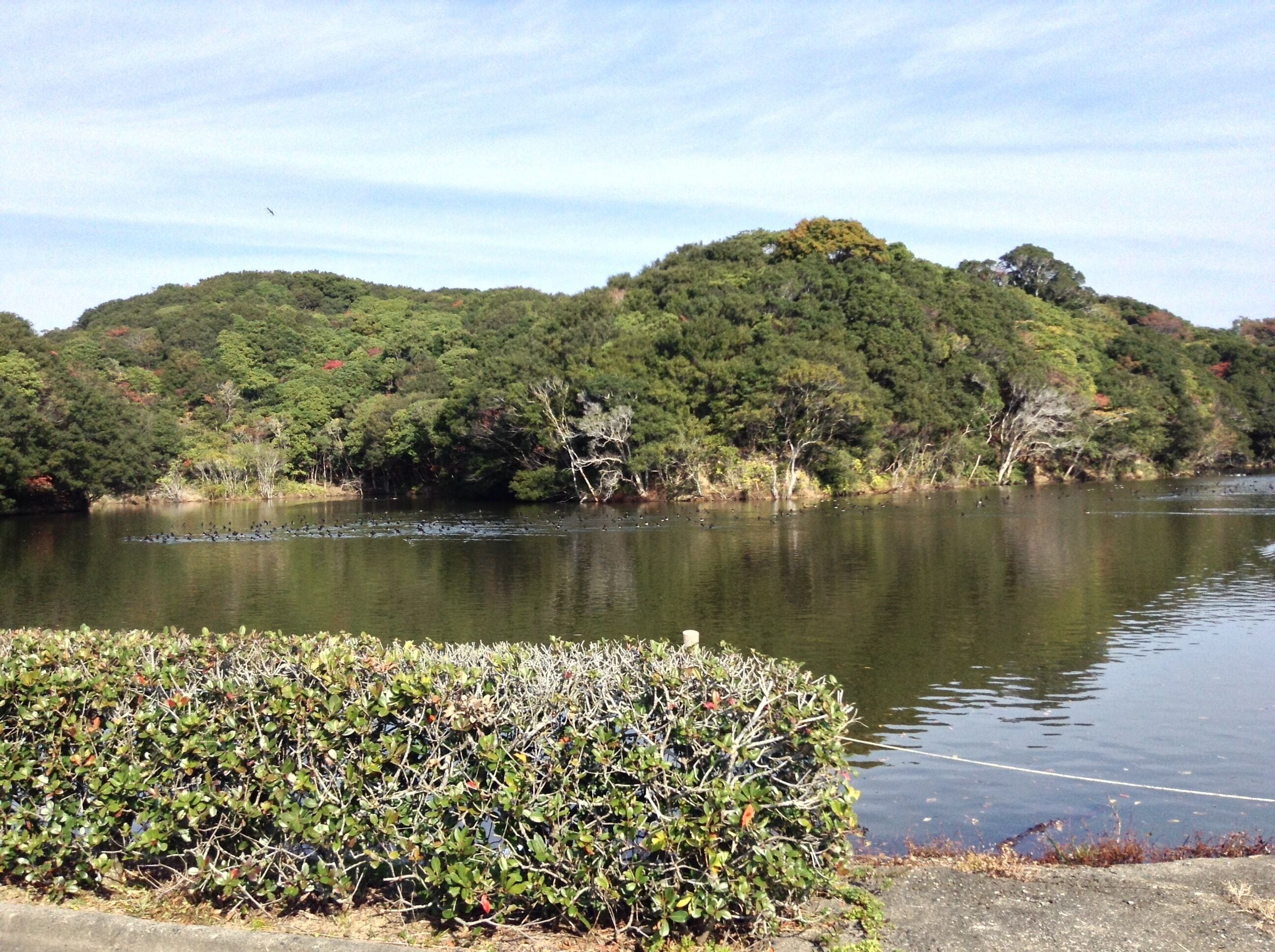 Hamajimacho Hamajima, Shima, Mie Prefecture 517-0404, Japan