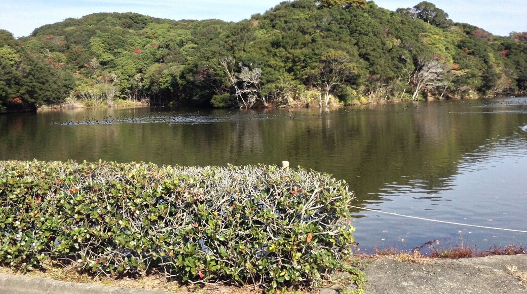 Hamajimacho Hamajima, Shima, Mie Prefecture 517-0404, Japan