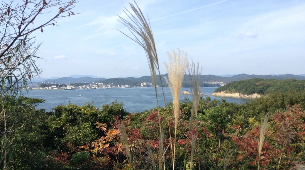 Hamajimacho Hamajima, Shima, Mie Prefecture 517-0404, Japan