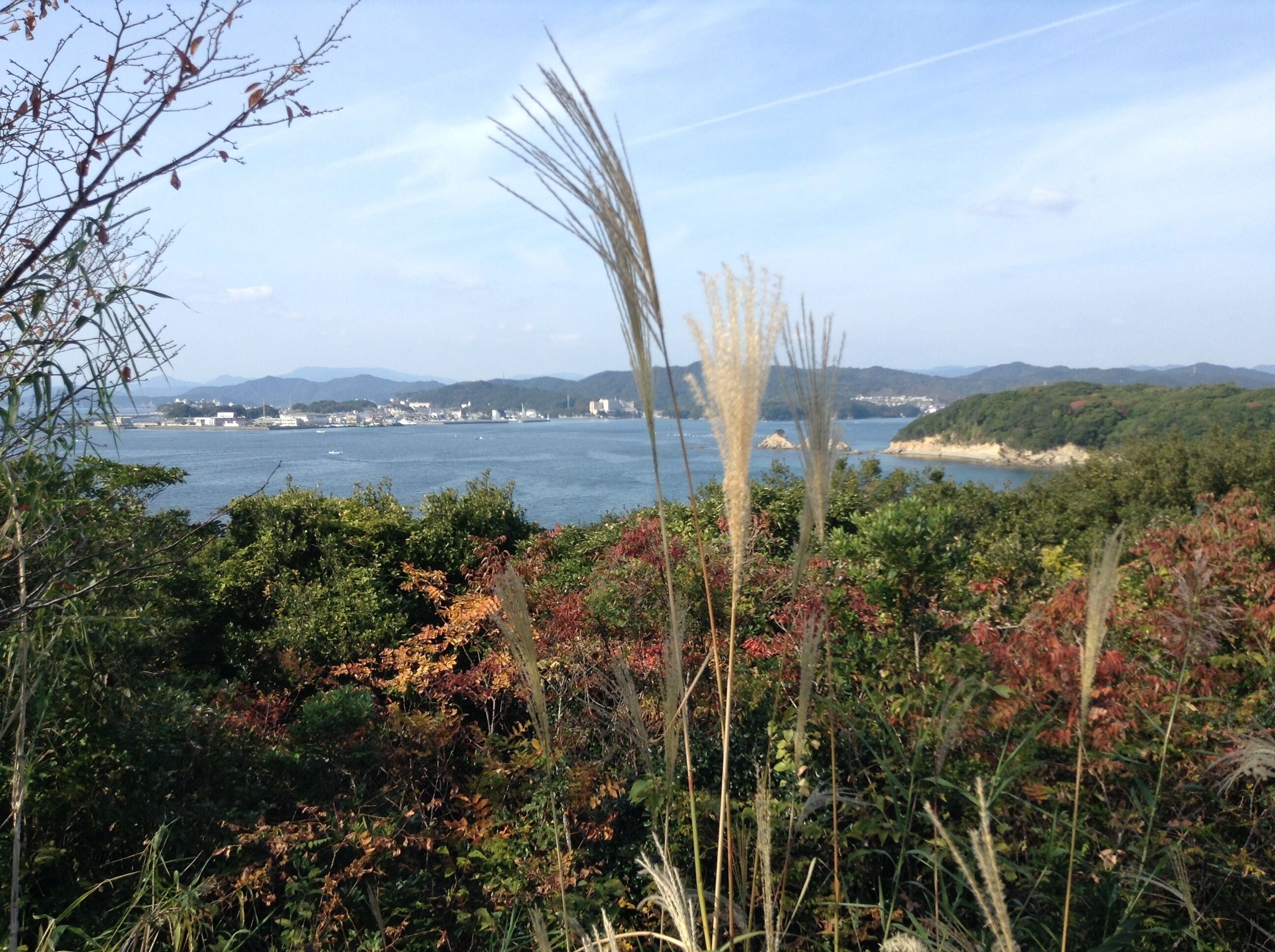 A coastal landscape with dense foliage, a body of water, and distant hills.