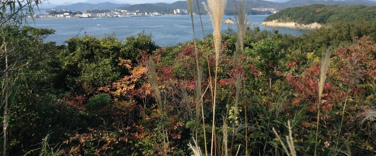 A coastal landscape with dense foliage, a body of water, and distant hills.
